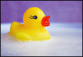 IMG_6073-Edit_640.jpg