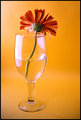 Flower & Glass