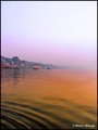 Golden Morning