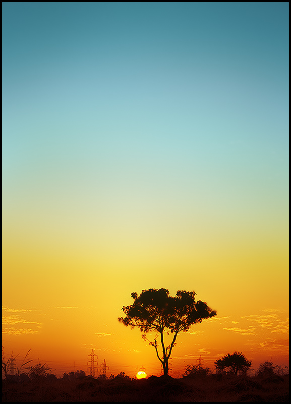 sunset