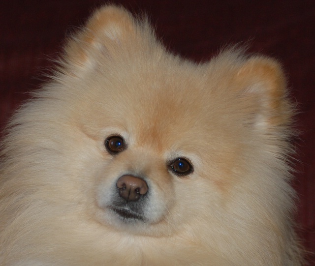 DSC_3900.JPG