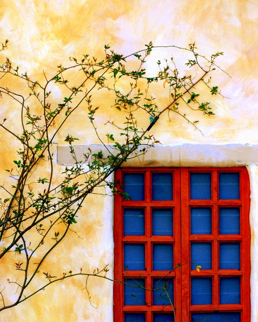 Red Window