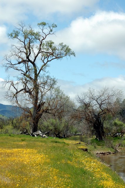 Shell Creek Road