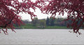 Fountain Lake Park