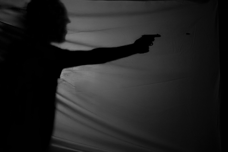The Assassin