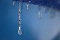 CRW_5491_RT8.jpg