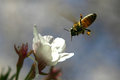 CRW_5857_RT8_cropped.jpg
