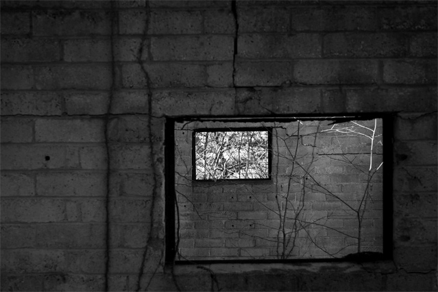Two Windows