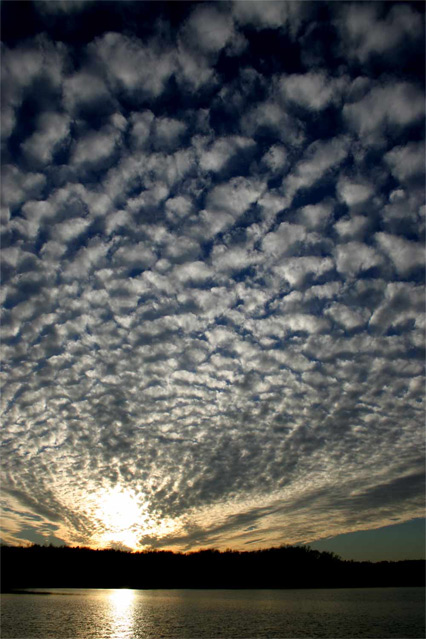 Mackerel Sky
