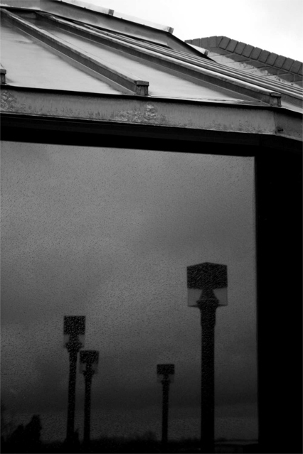 Lampposts on the Rear Horizon