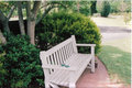 chair in park.jpg