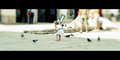 ' . substr('//images.dpchallenge.com/images_portfolio/45000-49999/49773/120/794056.jpg', strrpos('//images.dpchallenge.com/images_portfolio/45000-49999/49773/120/794056.jpg', '/') + 1) . '