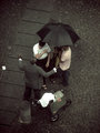 Rain Way