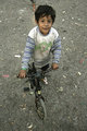 The Cyclist