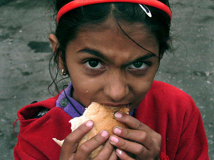 Bread for the world