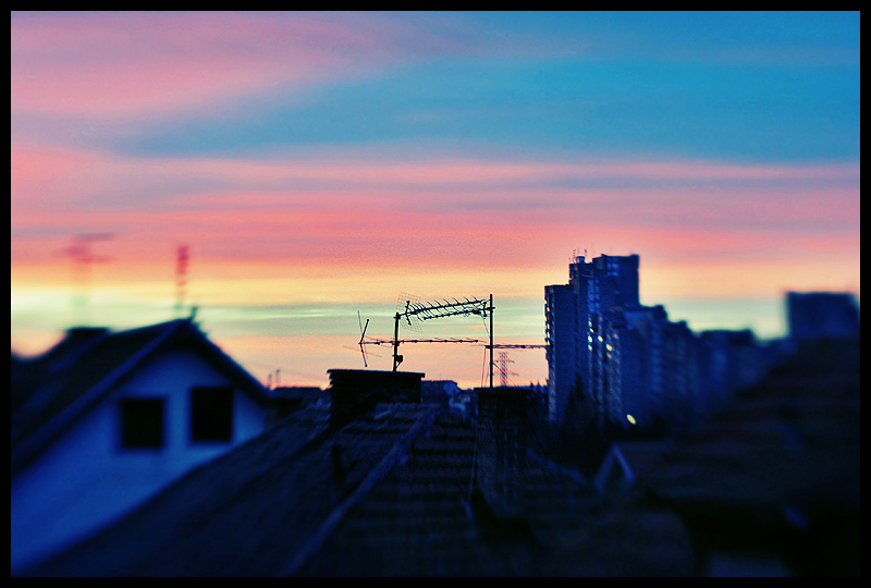 23. slice of November