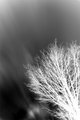 ' . substr('//images.dpchallenge.com/images_portfolio/45000-49999/49804/120/637779.jpg', strrpos('//images.dpchallenge.com/images_portfolio/45000-49999/49804/120/637779.jpg', '/') + 1) . '
