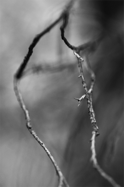 DSC_8072