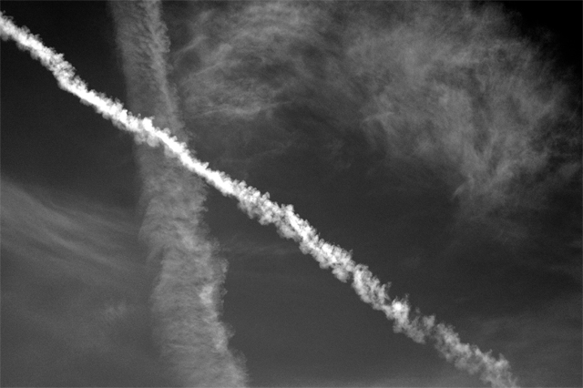 DSC_4554