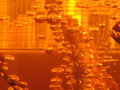 Lava Bubbles