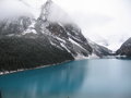 Placid