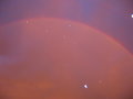 Rainbow Dreams