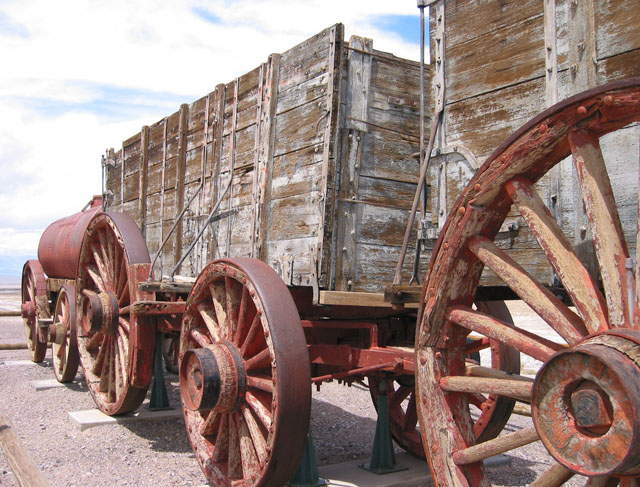 20 Mule Train