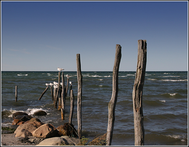 Sea