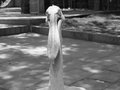 Angrypelican.jpg