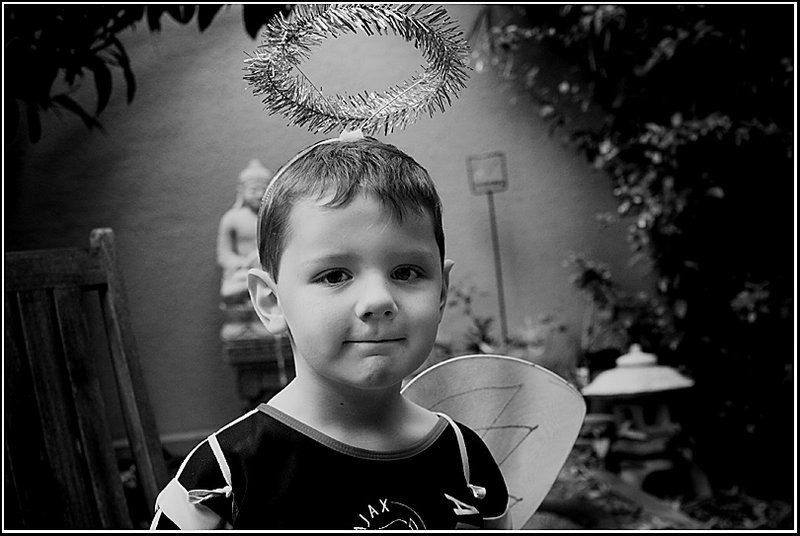 William-The Garden Imp