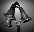 Day 06 Flower Lamp