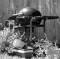 Day 10 Grill