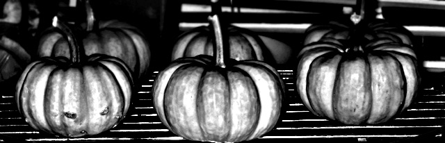 Day 07 Pumpkin Patch