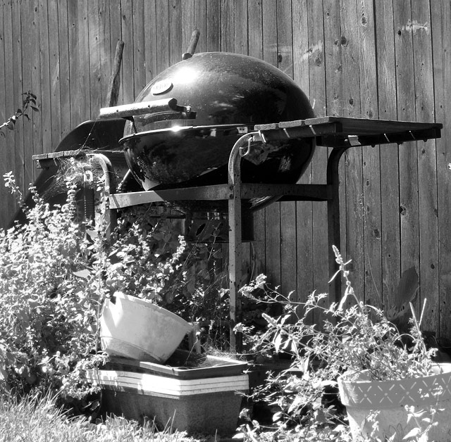 Day 10 Grill