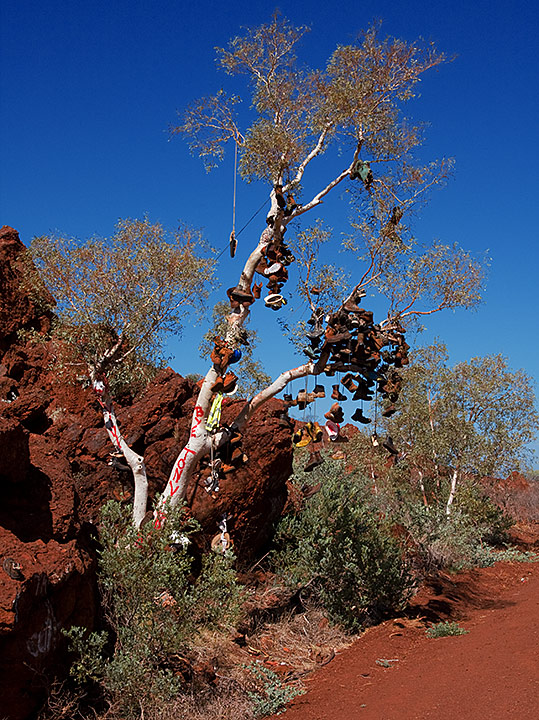 The Boot Tree