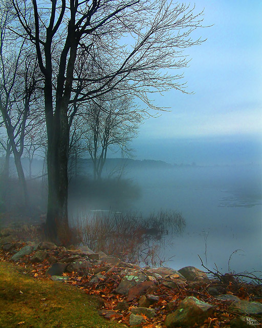Foggy View of the Lake