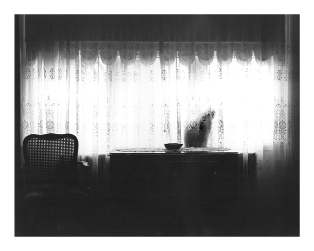 Window View II