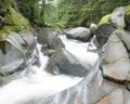 Troublesome Creek