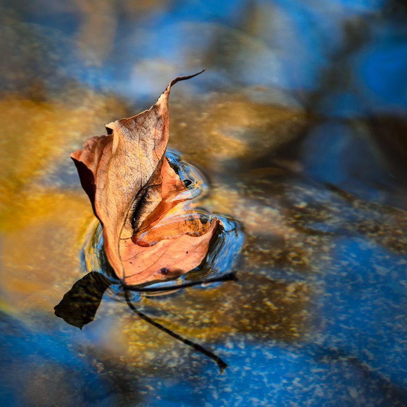 Surface Tension