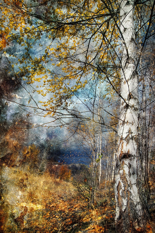 Kootenay Fall