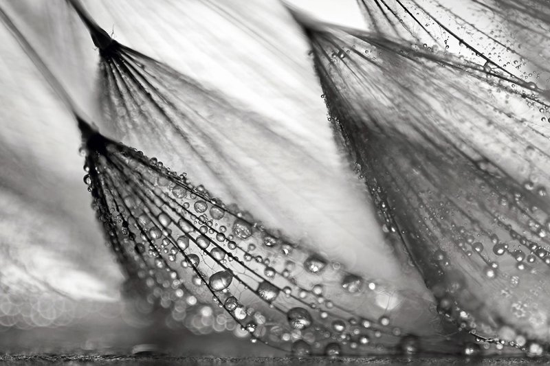 Sweeping In the Rain