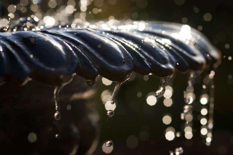 Splash!