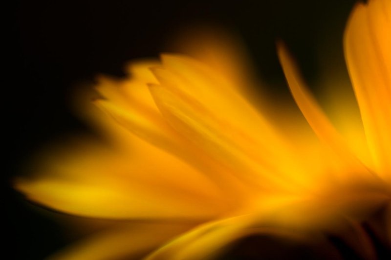 Orangesque