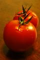 tiny tomatoes