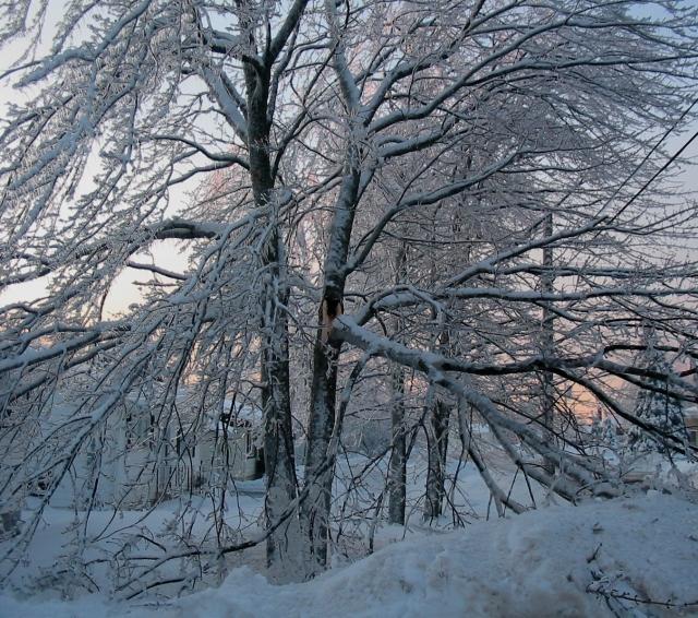 Ice Storm 2003!!