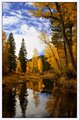 Autumn reflections