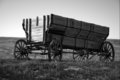 Lost Wagon (B&W)