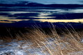 DPC_DSC_0837a.jpg