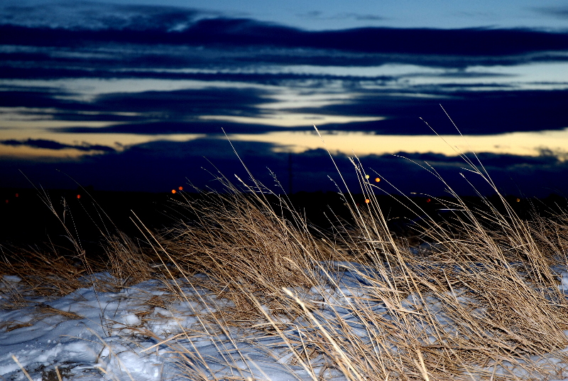 DPC_DSC_0837a.jpg