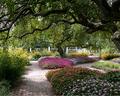Portsmouth Garden
